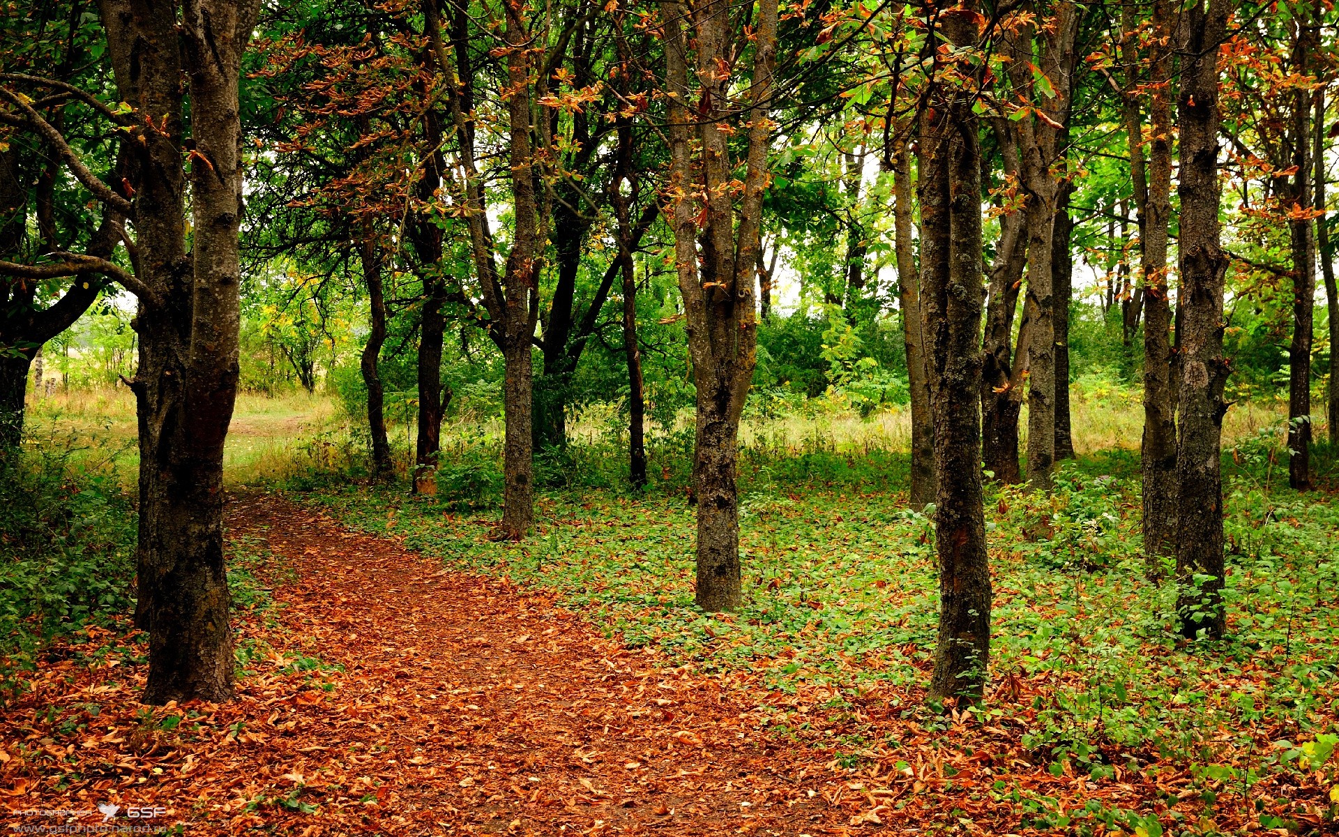 法甲青训引入VR模拟对战术认知迁移的研究评估,法甲青训排名