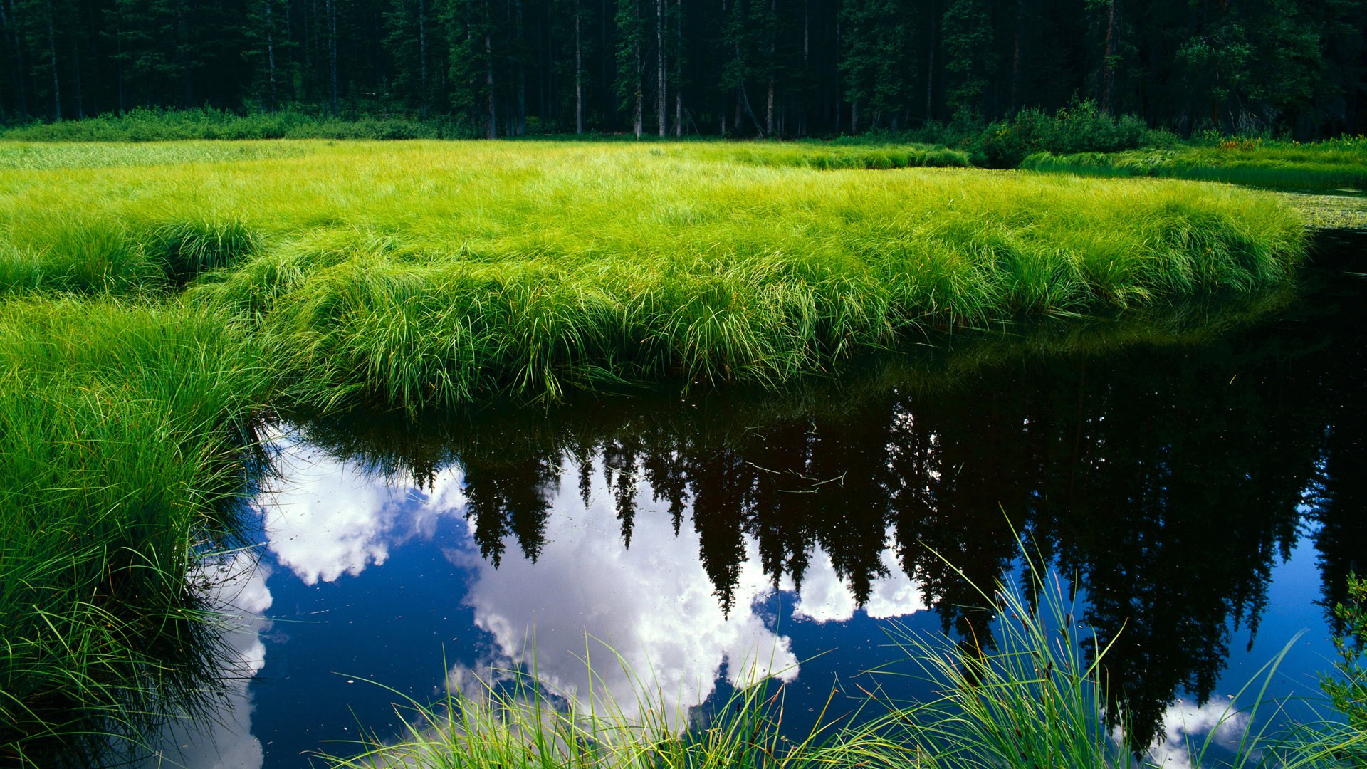 西甲球员疲劳恢复期心率监测在训练计划制定中的应用
