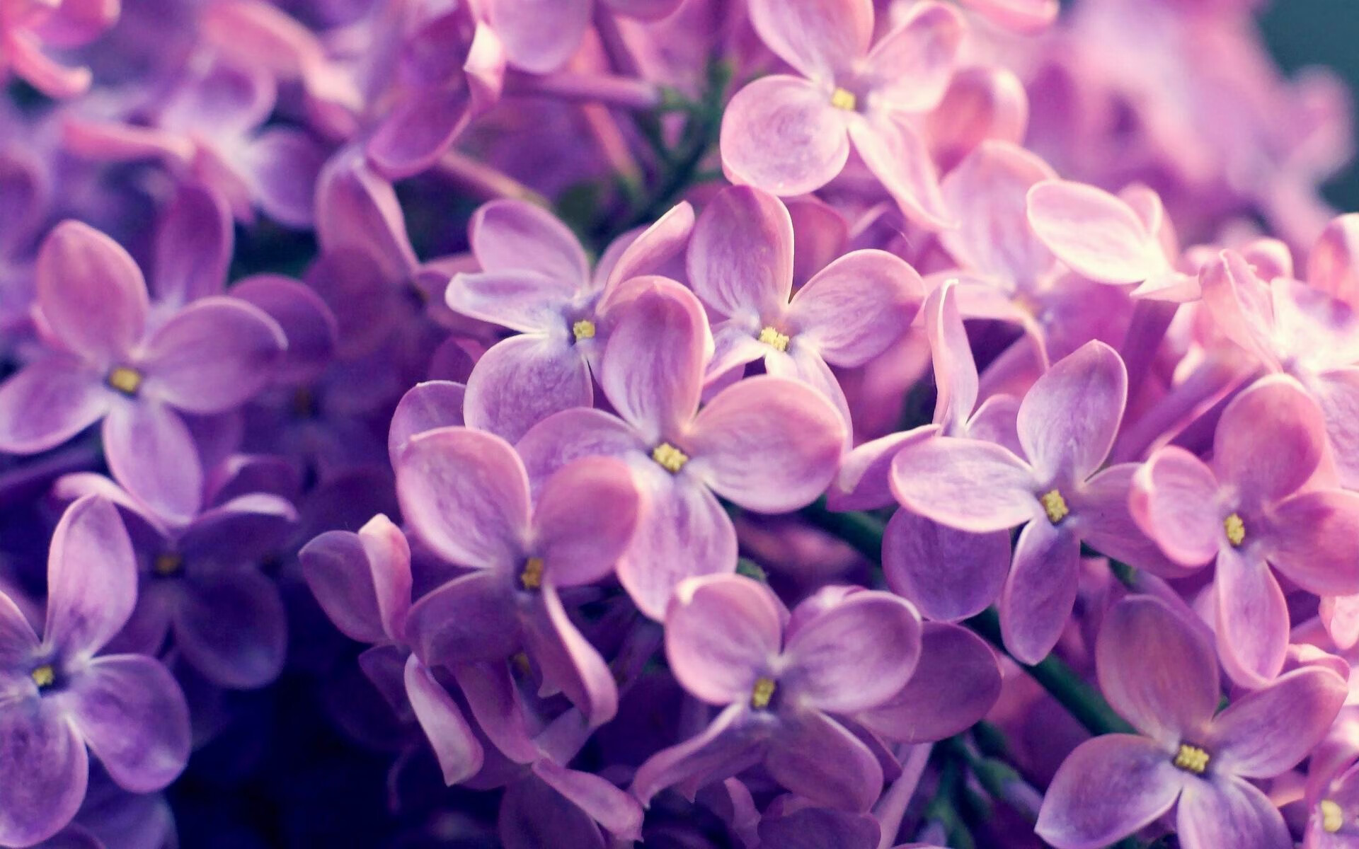 东亚杯中国青年队逆袭 球员表现亮眼,东亚杯中国战绩