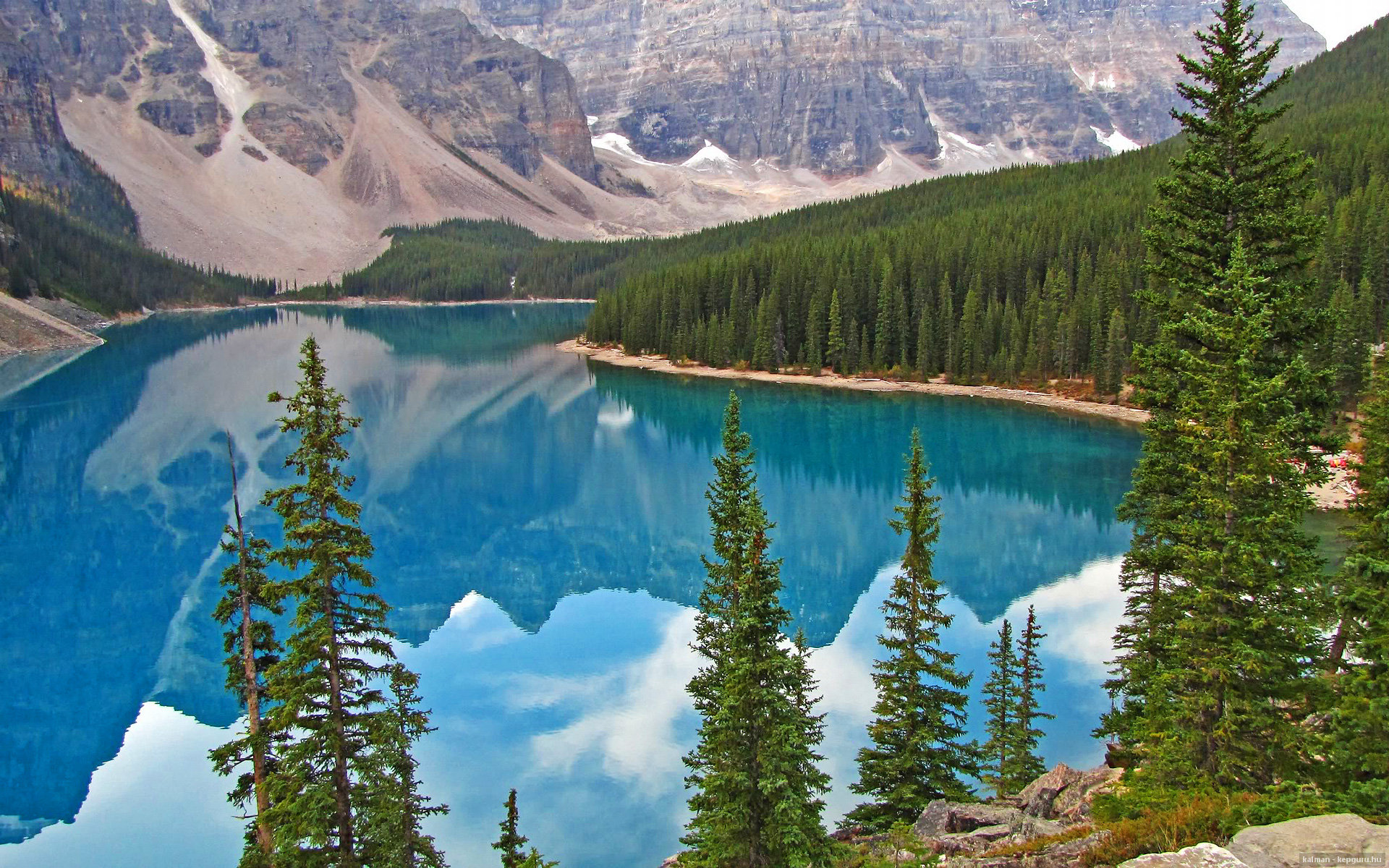 基:全黑队的“防守终结者”,总能在关键时刻化解对方的进攻威胁