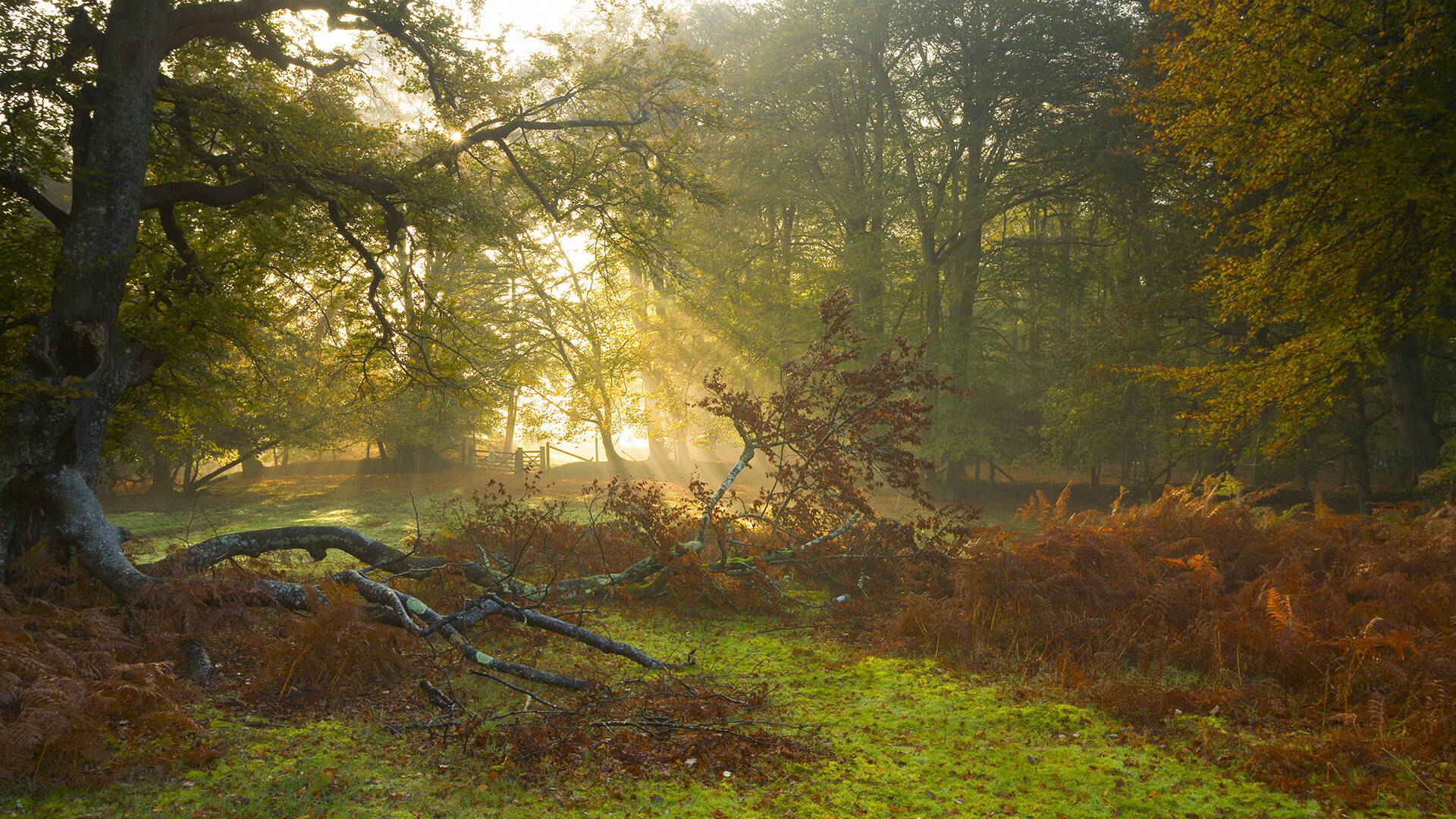 星空体育中国官网-女子国家队战术演练融入多种阵型提升灵活性，女子队员