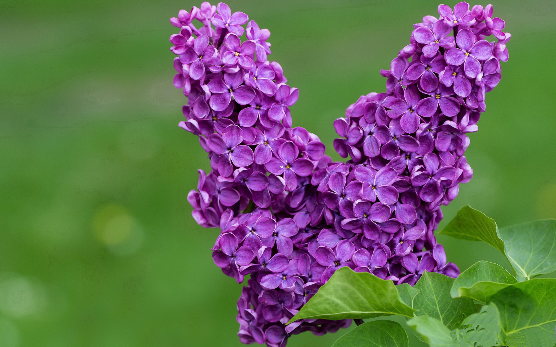 星空体育app-德甲攻防大战：节奏快、变化多，精彩不断！，德甲榜首大战