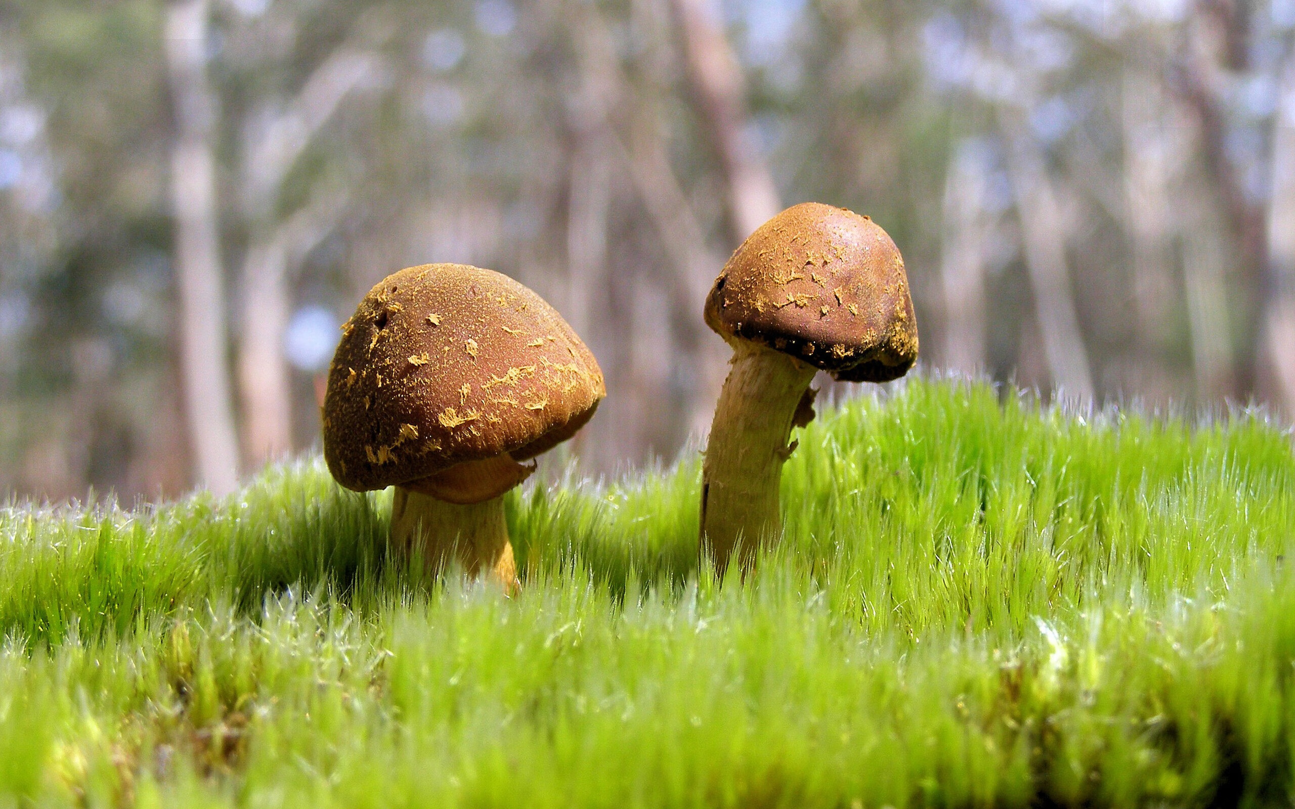 星空体育app官方下载-教练员培训体系全面升级，教练员岗位培训管理系统