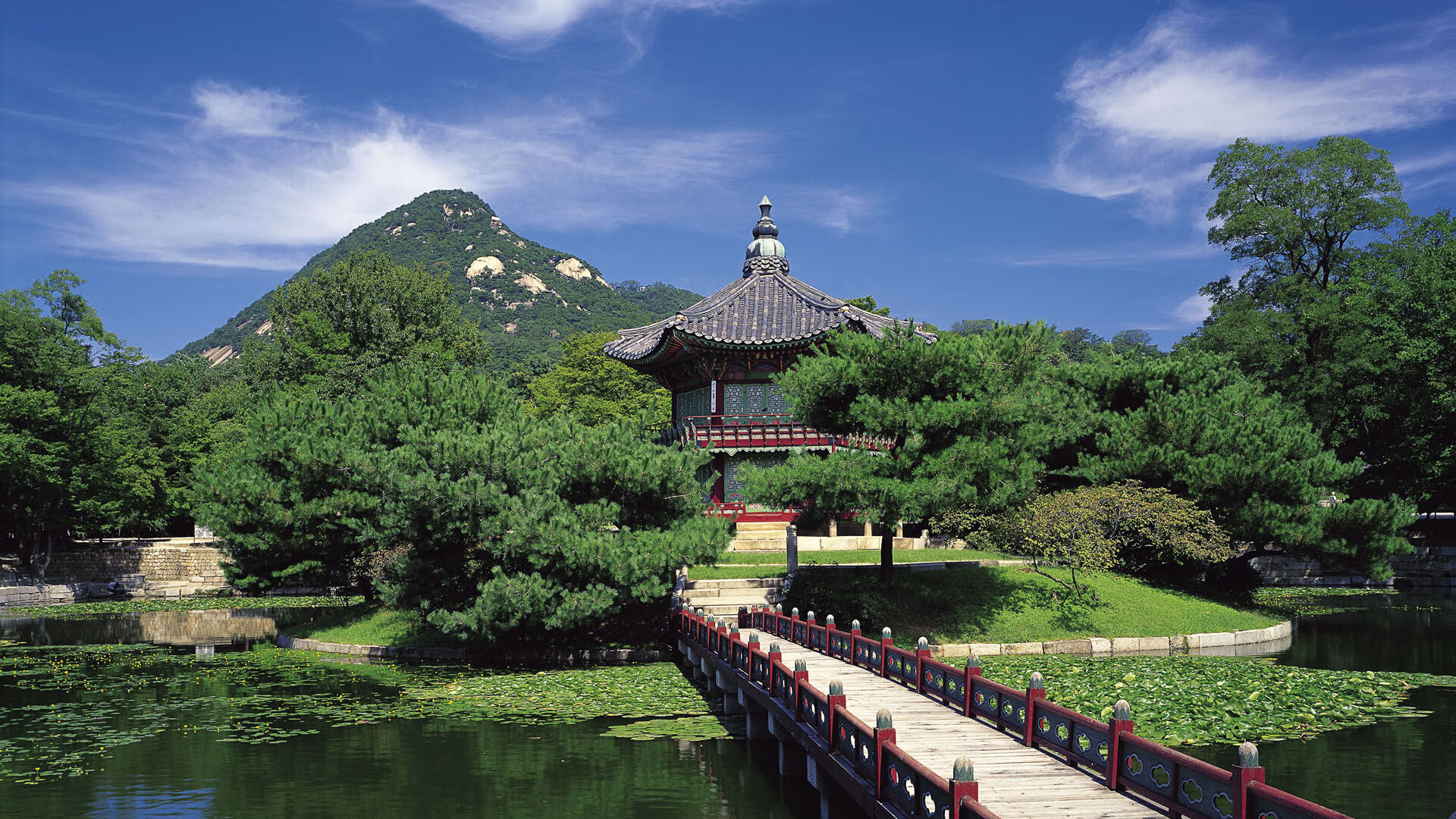 星空体育网页-曼联签下新中场天才，为未来攻坚