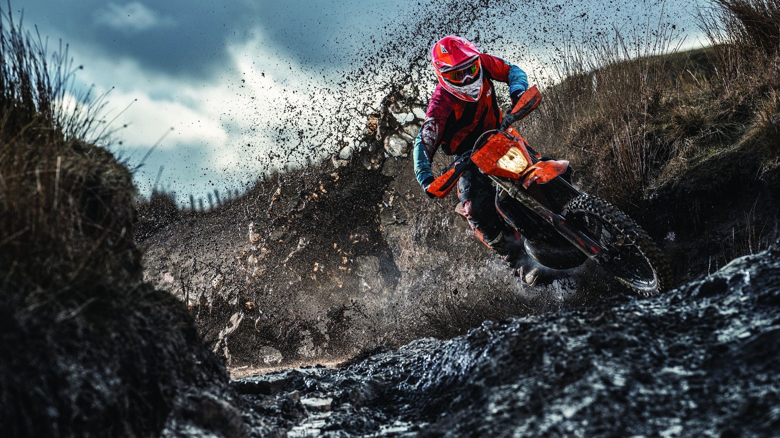 美国骑手吉塔·日特科维奇荣获2024年最佳障碍赛骑手奖，表彰其卓越表现。